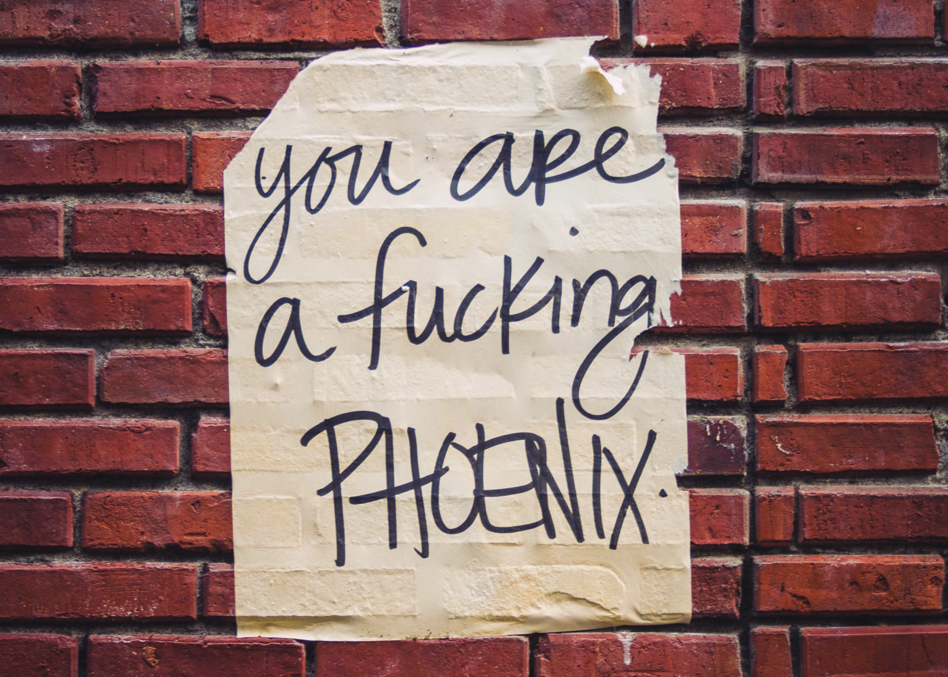 Handwritten poster on a brick wall reading you are a fucking phoenix