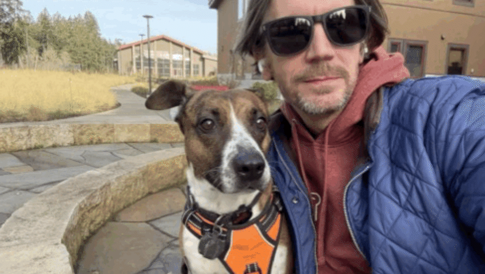 Celebrating Gotcha Day No. 5 🐾✨