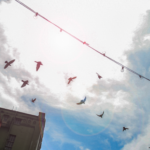 Photo Walks: The Low-Stakes Creative Habit That Keeps Me Grounded