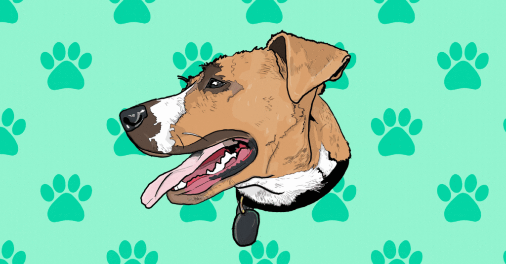 little buddy = BIG INSPIRATION 🐾✨