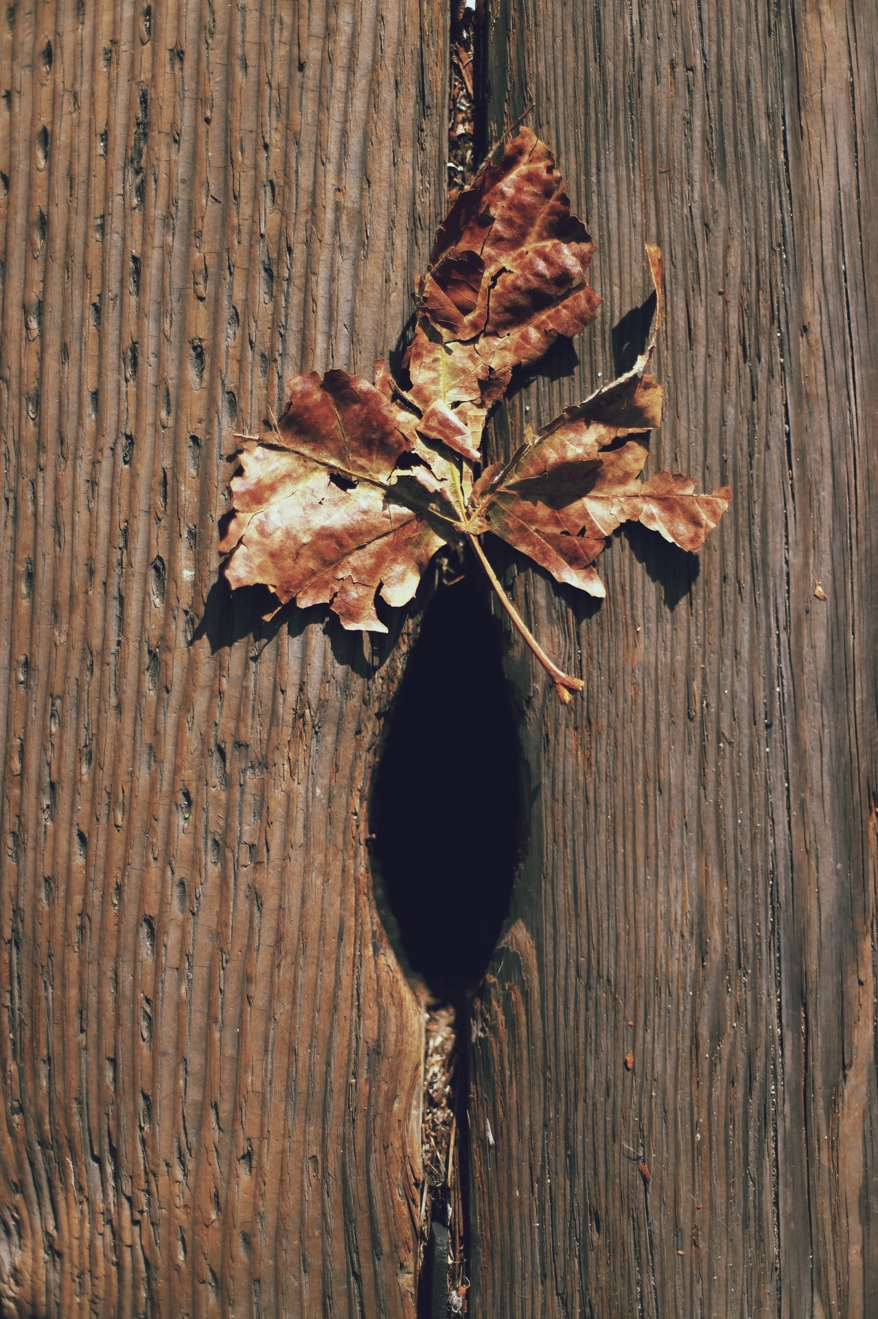 Image gallery image