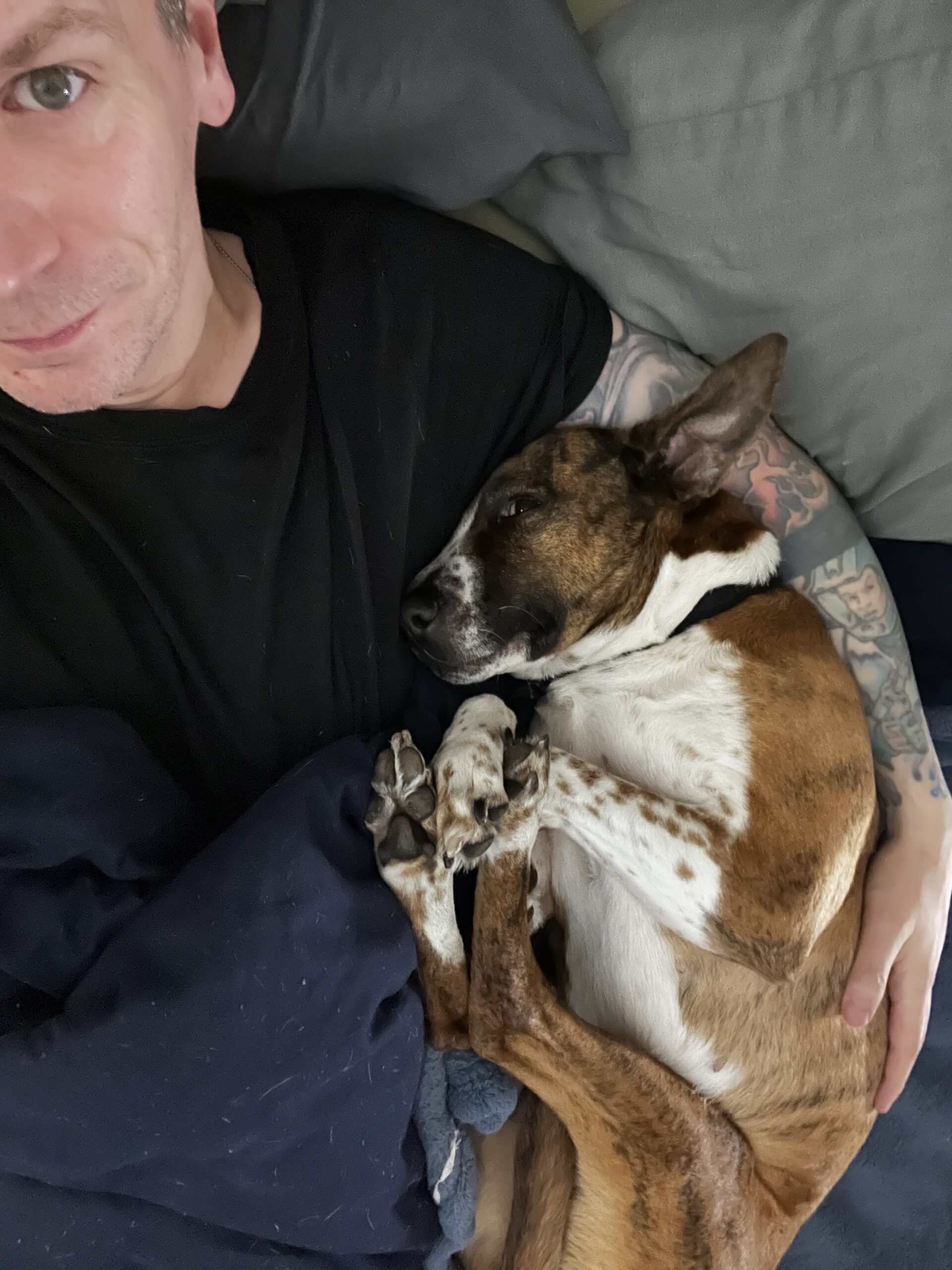 Image gallery image